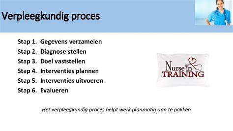 Het DHI Proces: Stap Voor Stap